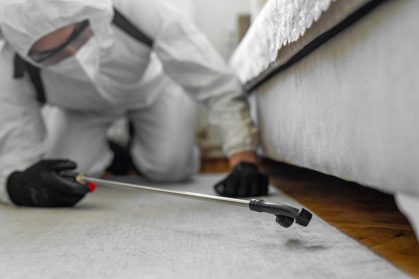 Professional Pest Control technician working in Flora, IL