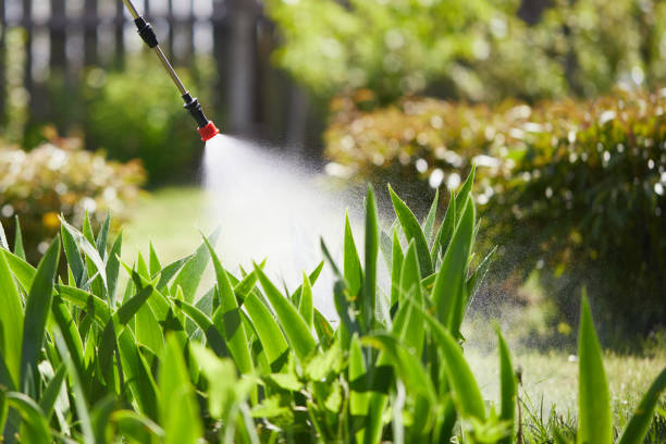 24/7 Emergency Termite Control experts in Flora, IL