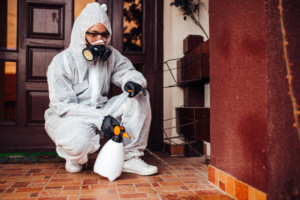 Reliable Termite Control contractor in Flora, IL by Nex Pest Control