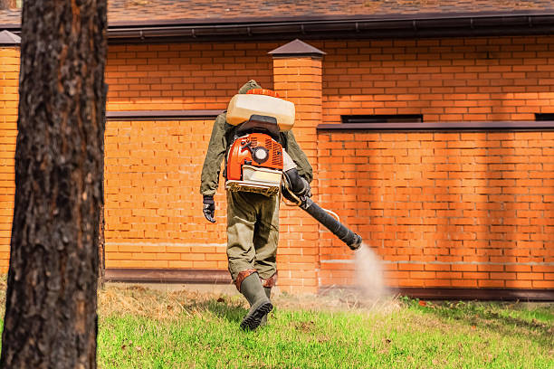 Trusted Rodent Control service in Flora, IL - Nex Pest Control